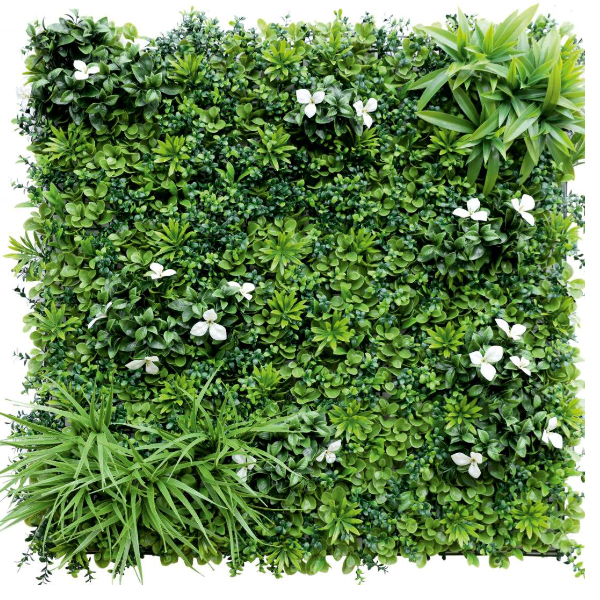 Explore Green Divine Projects