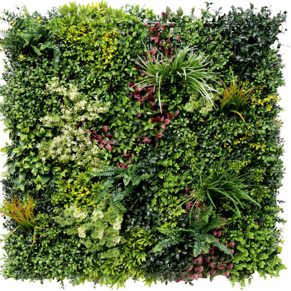 Explore Green Divine
