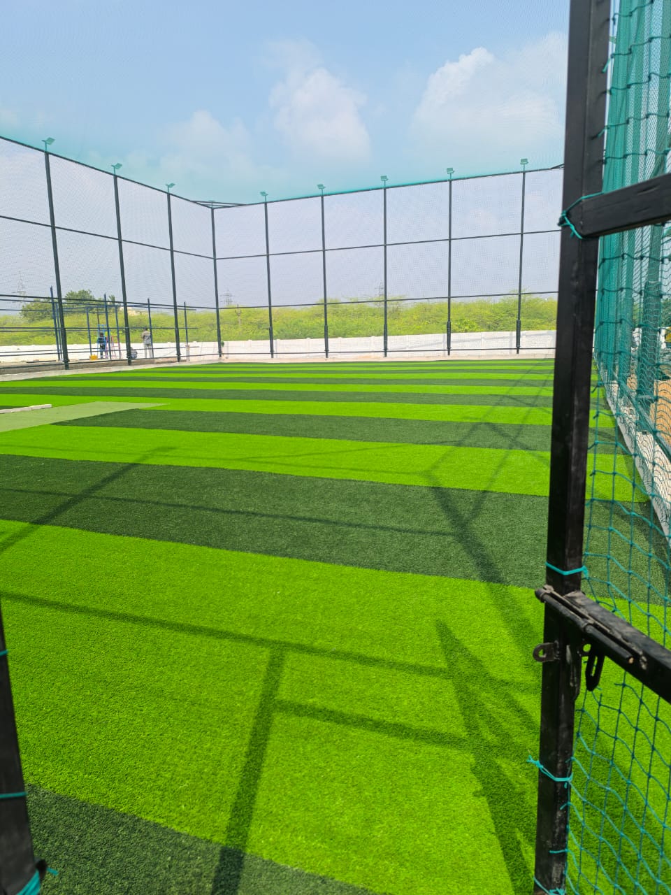 Artificial Grass