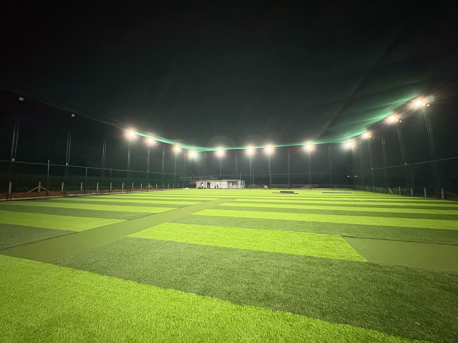 Artificial Grass