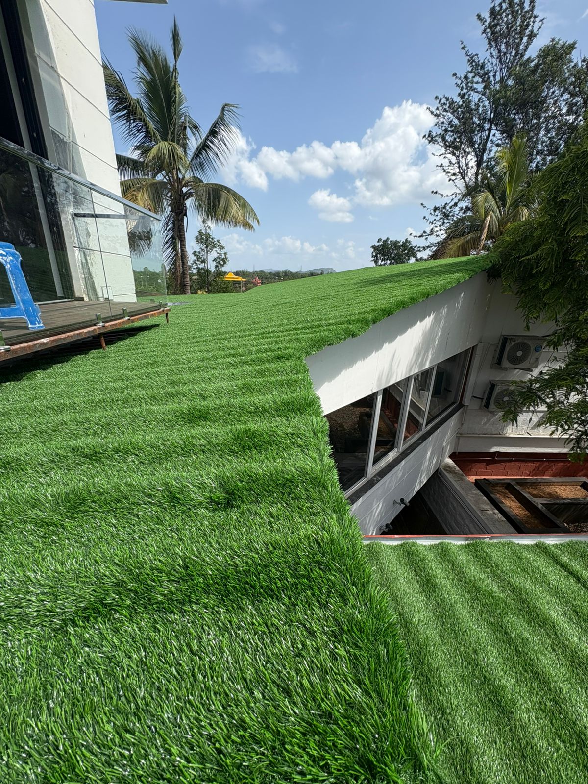 Evergreen Garden Turf