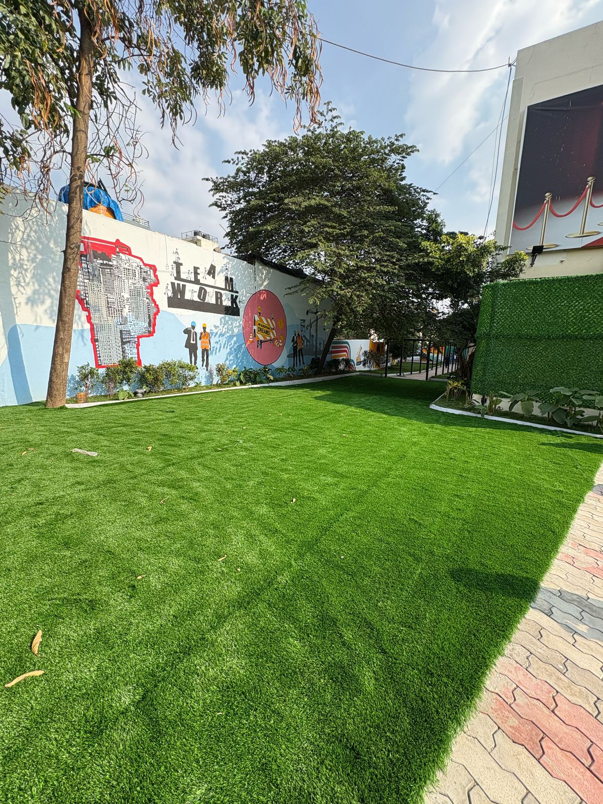 Premium Outdoor Grass