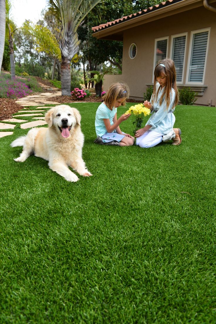 Green Divine Vision - Sustainable Artificial Gardens in Bangalore